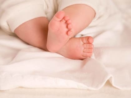 В Саратовской области родились Платон, Кирена и Селин