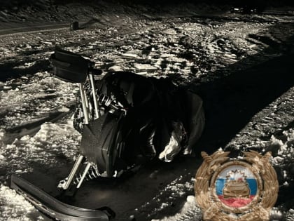 Молодой мужчина погиб после опрокидывания снегохода в поле