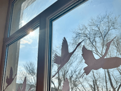 В саратовских окнах летят журавли
