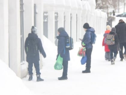 Мороз. В школах Саратова не стали отменять уроки