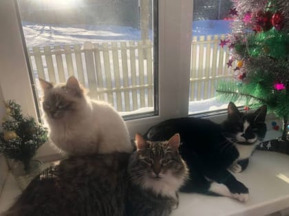 Во вторник саратовцев ждет холодный день