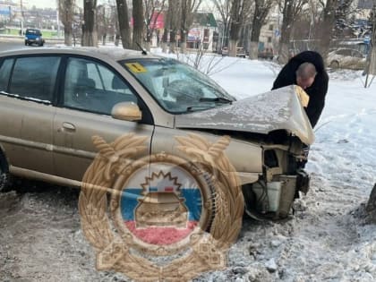 На Орджоникидзе молодой водитель иномарки протаранил дерево