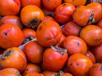 Эксперт Курбатова назвала полезные свойства хурмы