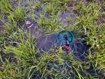 В саратовском сквере оказался сломан автополив. Чиновники винят вандалов