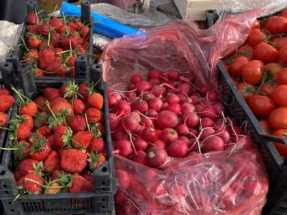 На Театральной площади вновь будут торговать сезонными овощами и ягодами