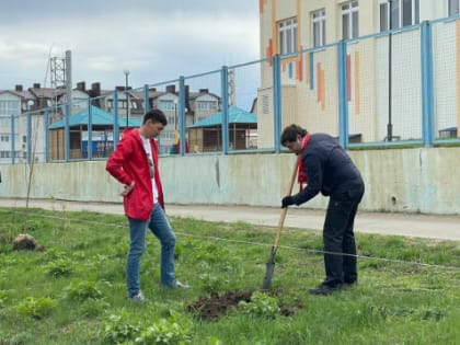 Саратовские коммунисты высадили тополя в посёлке Юбилейный