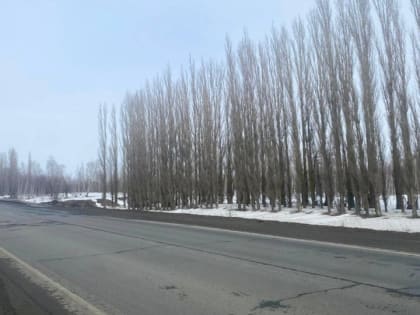 Президент установил штрафы за высадку инвалидов из общественного транспорта