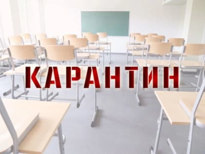 В Балакове из-за заболеваемости ОРВИ закрыто на карантин 12 классов в шести школах