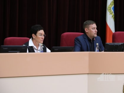 Депутаты обсудили реализацию нацпроекта «Культура» и профильных программ в Саратовской области