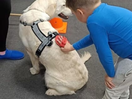 Четвероногие терапевты учат маленьких саратовцев не бояться собак