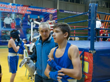 Областные соревнования по боксу в Марксе