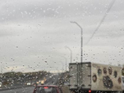 Пасмурная погода ожидается в Саратове 2 ноября