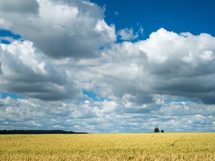 В Саратовской области местами возможны дожди и усиление ветра до 18 м/с