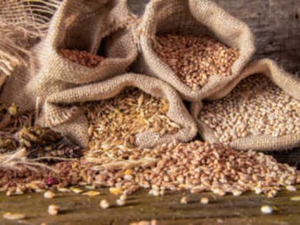 Сев можно не начинать: в Саратовской области лежат 4 млн. тонн зерна, его сбыт в тумане