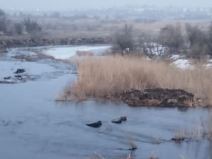 Под Саратовом погиб ехавший по броду реки тракторист