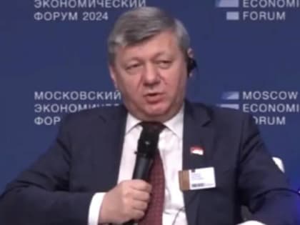 Дмитрий Новиков на Московском экономическом форуме: “Растущее влияние БРИКС создаёт условия для успешного развития стран и народов мира”