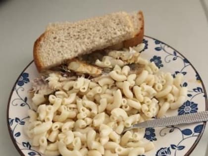 В саратовских больницах пациентов могут начать кормить олениной и поить кумысом