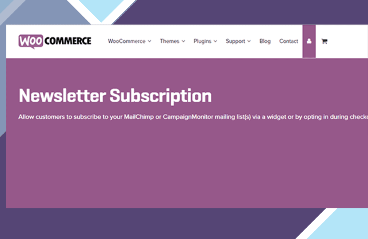 Newsletter – WooCommerce screenshot