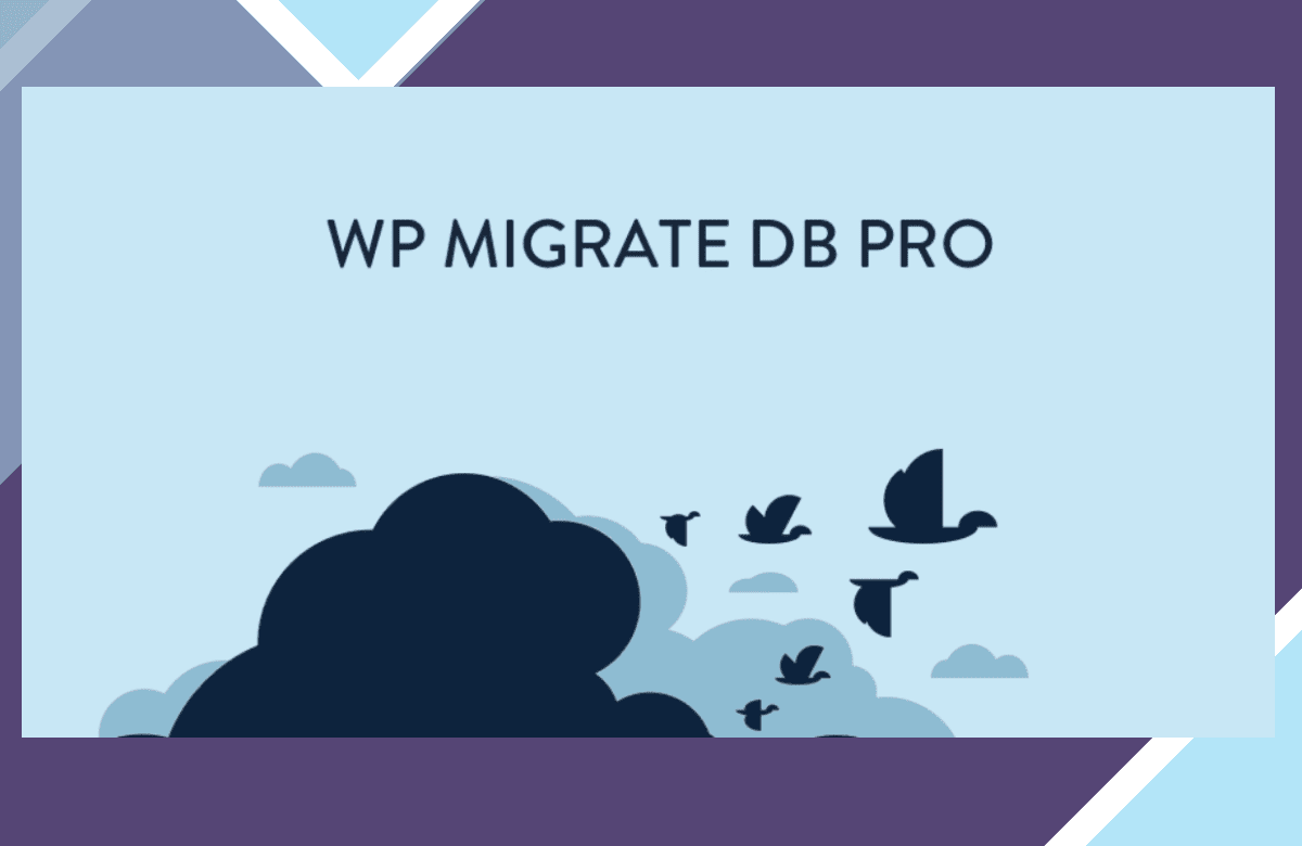 WP Migrate DB Pro screenshot