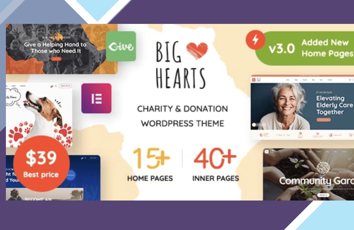 BigHearts – Charity and Donation WordPress Theme screenshot