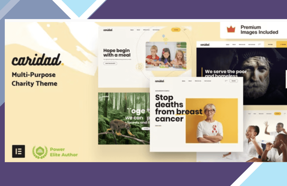 Caridad – Charity WordPress Theme screenshot