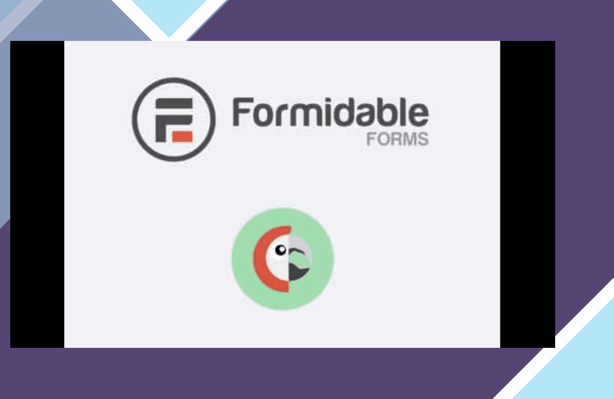 Formidable Forms – Polylang Multilingual Add-On screenshot
