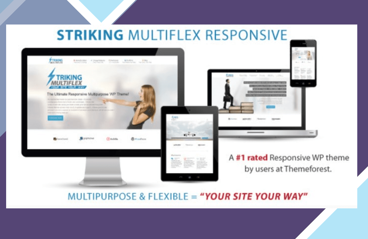 Striking – MultiFlex and Ecommerce Responsive WP Theme screenshot