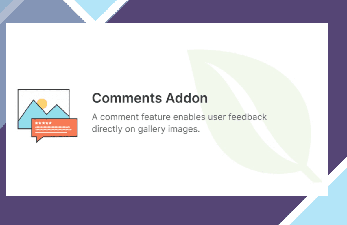 Envira Gallery – Comments screenshot