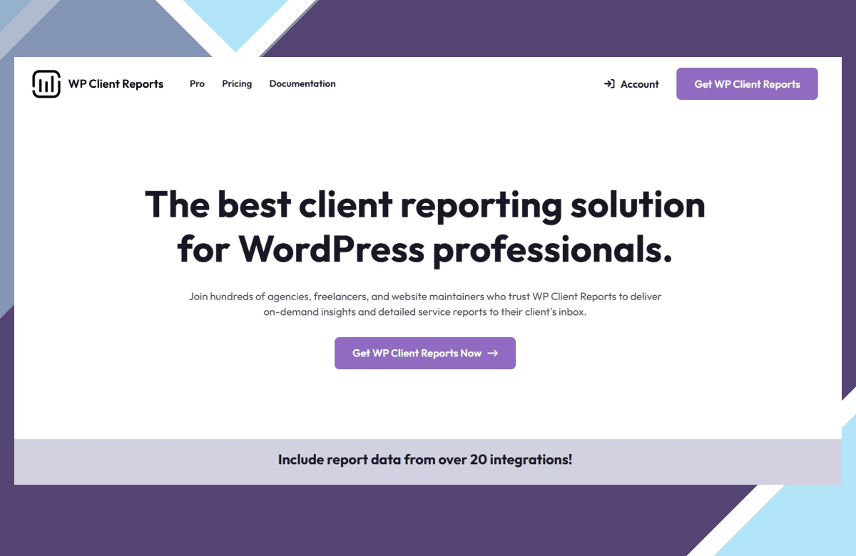 WP Client Reports Pro screenshot