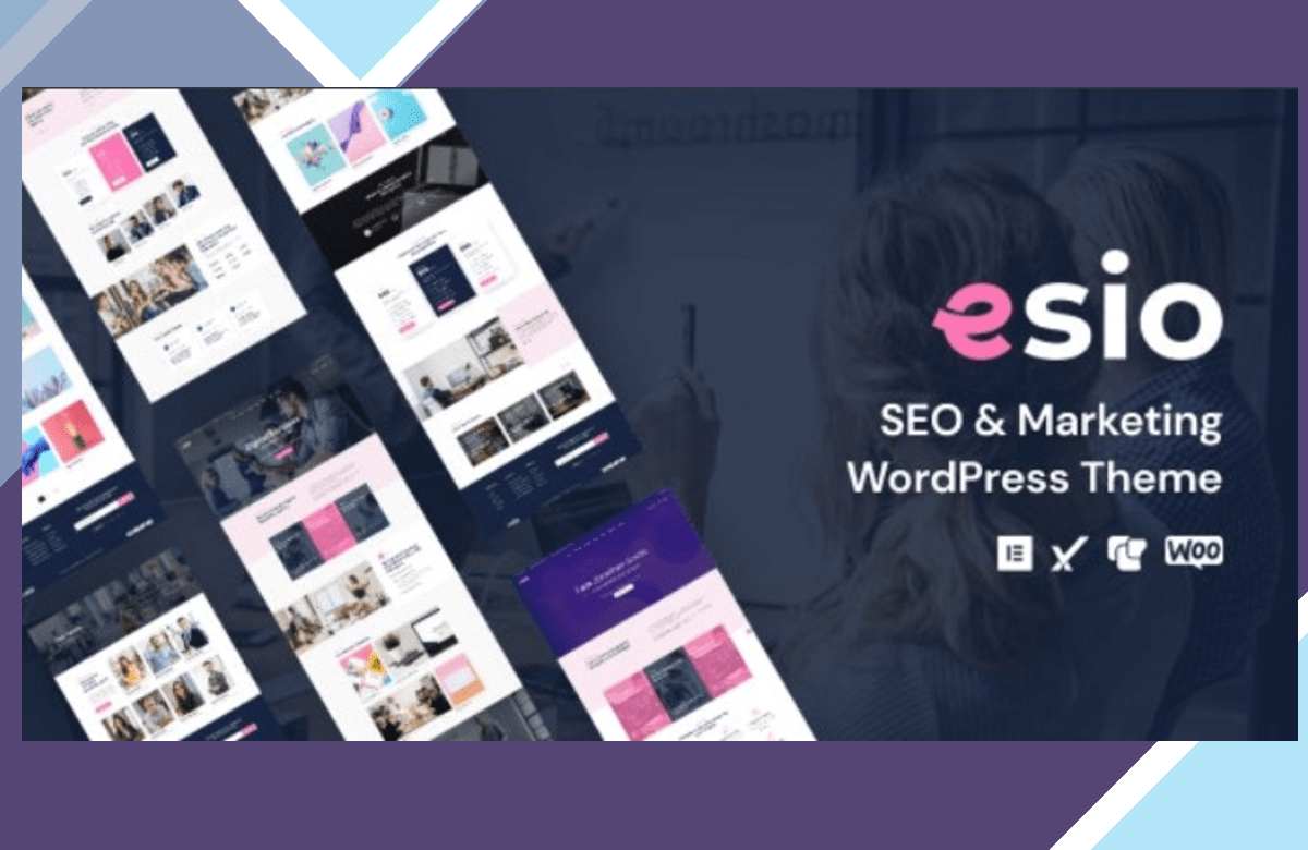Esio – SEO and Marketing WordPress Theme screenshot