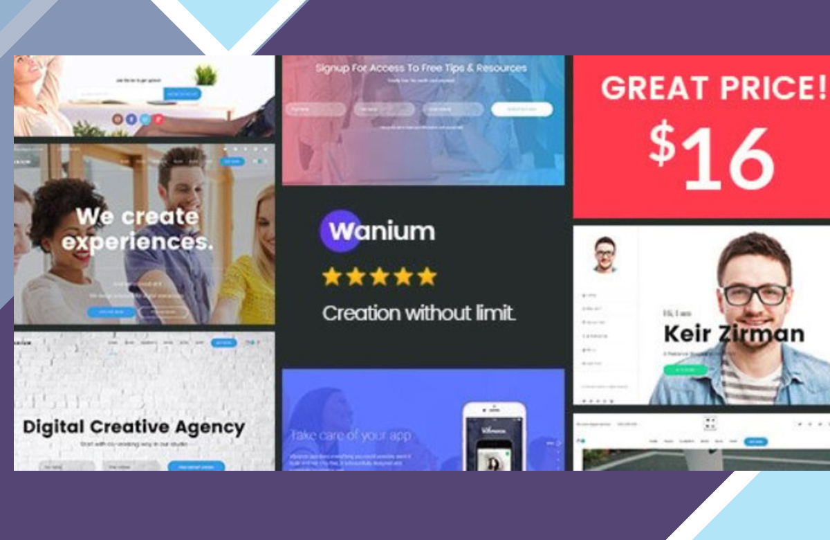 Wanium – A Elegant Multi-Concept Theme screenshot