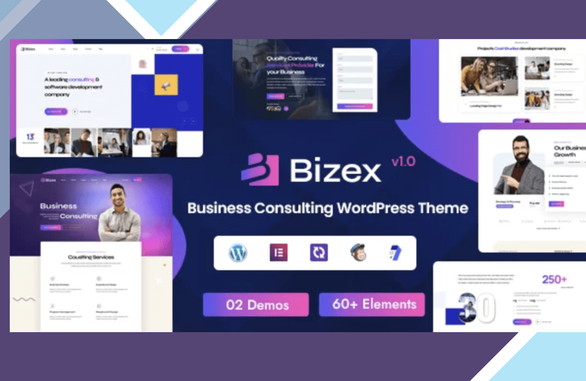 Bizex – Business Consulting screenshot