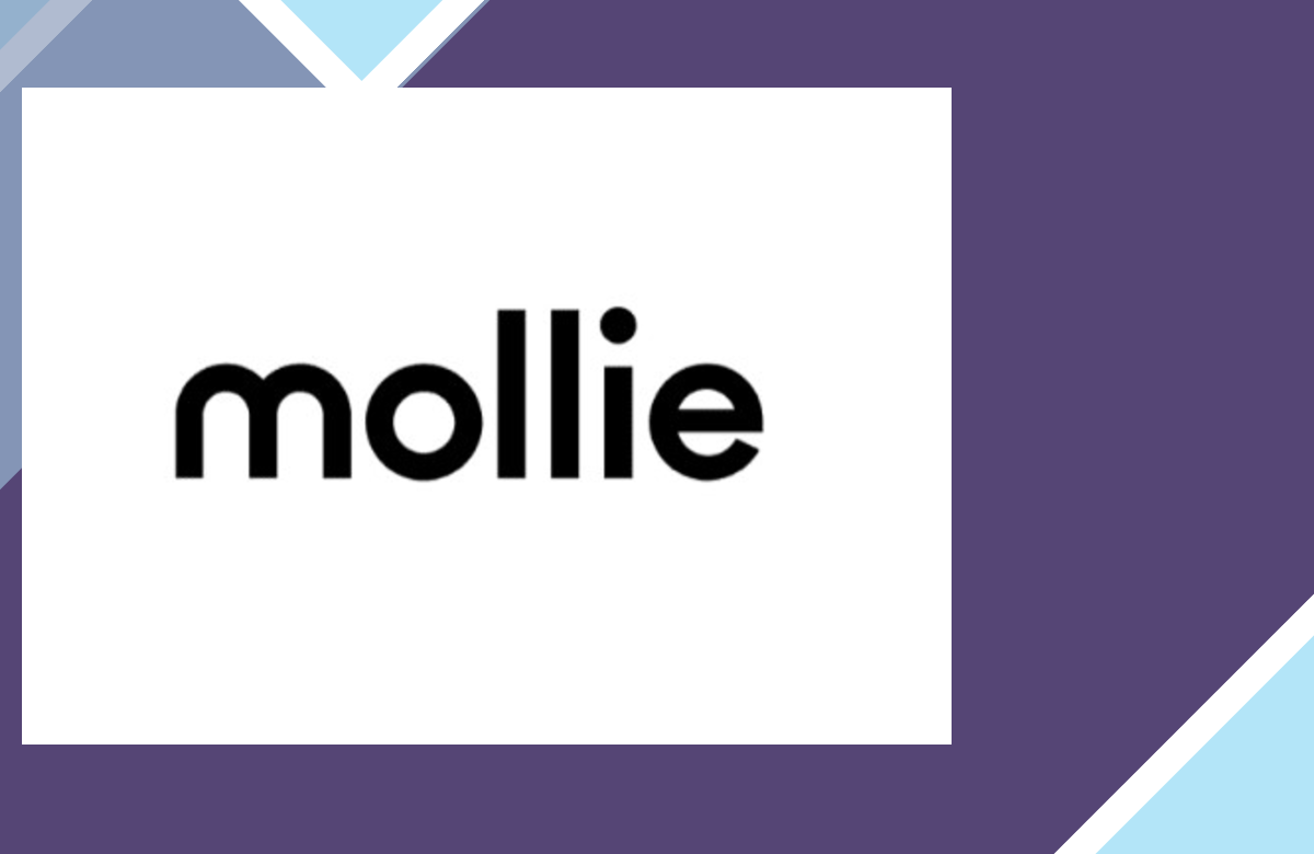 LatePoint Addon – Payments Mollie screenshot