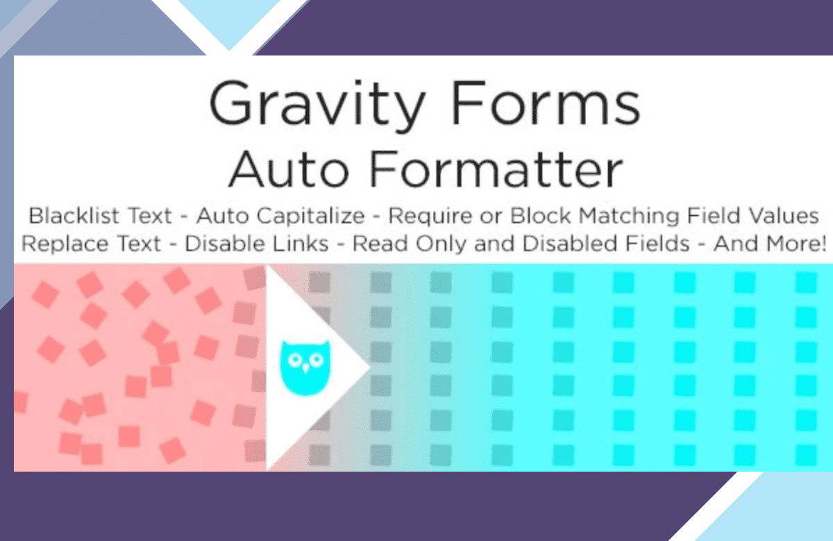 Gravity Forms Auto Formatter screenshot