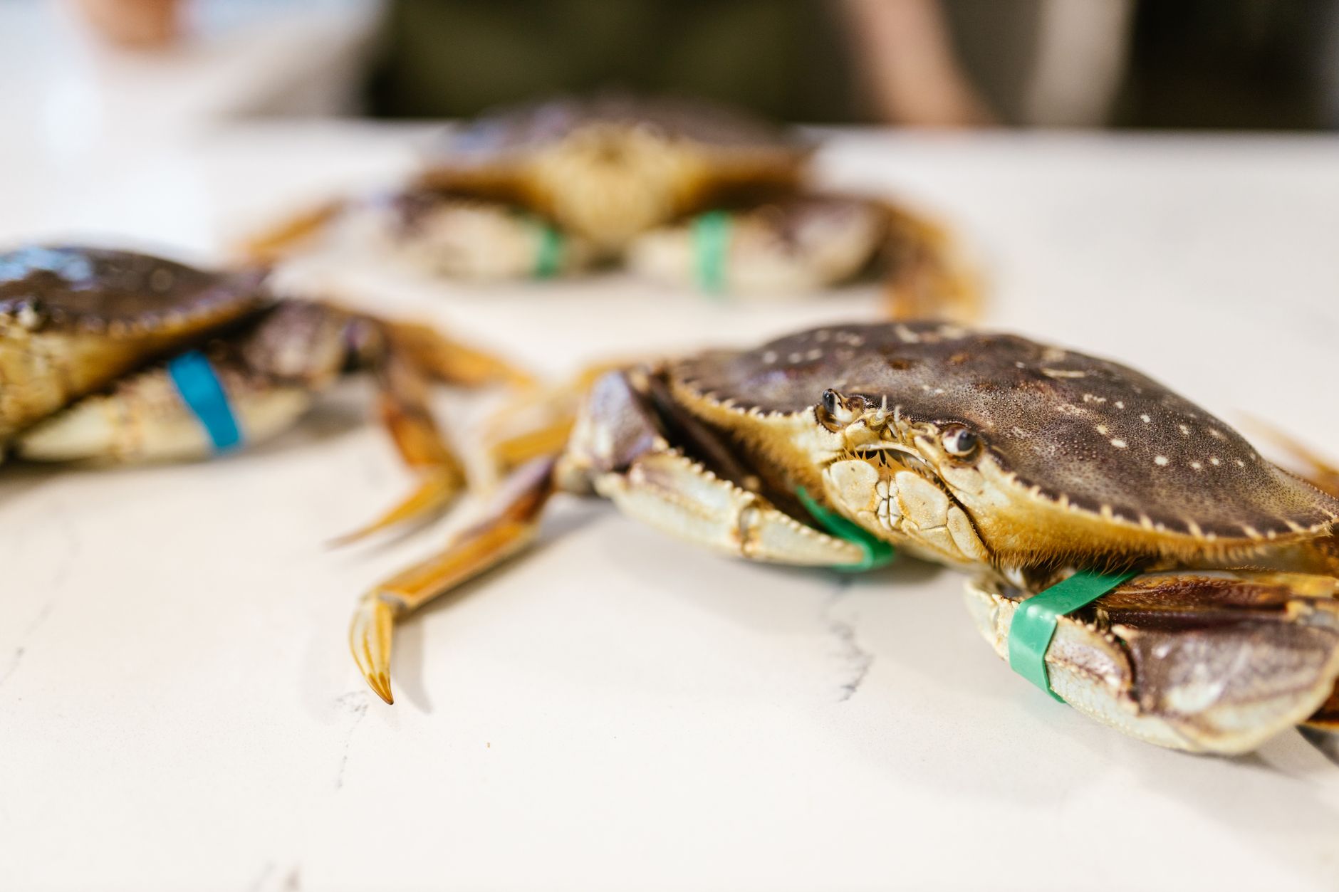 Cut The Crab: A Premium Seafood Destination for Seafood Lovers in Jakarta