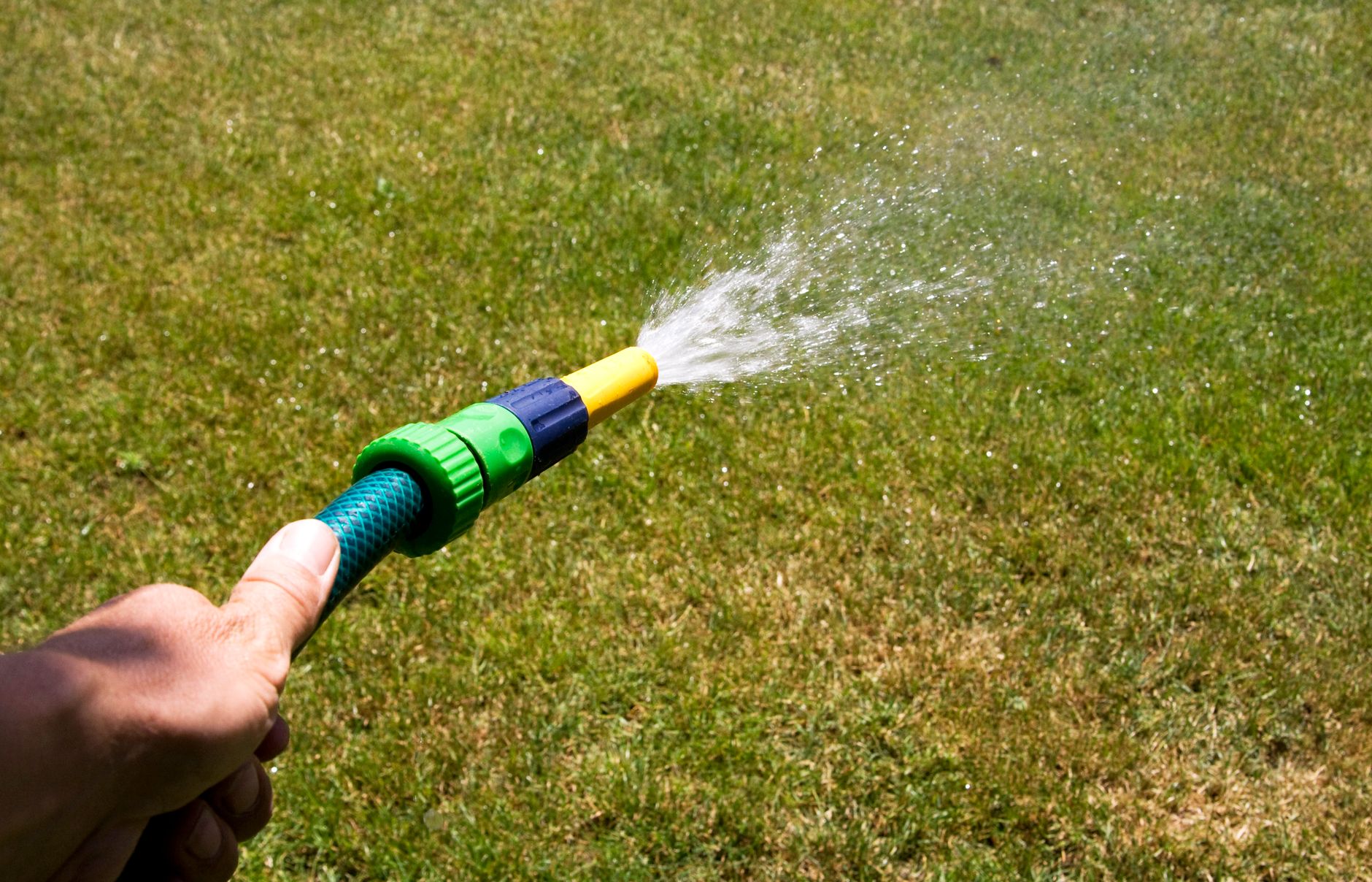 How to Keep Your Garden Healthy & Hydrated