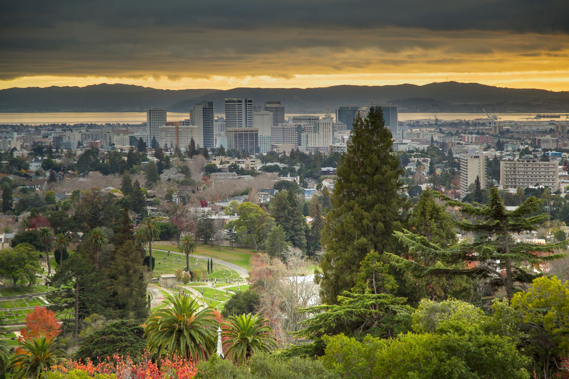 Mark Roemer Oakland Unveils the Best Hikes Near Oakland to Try in 2022