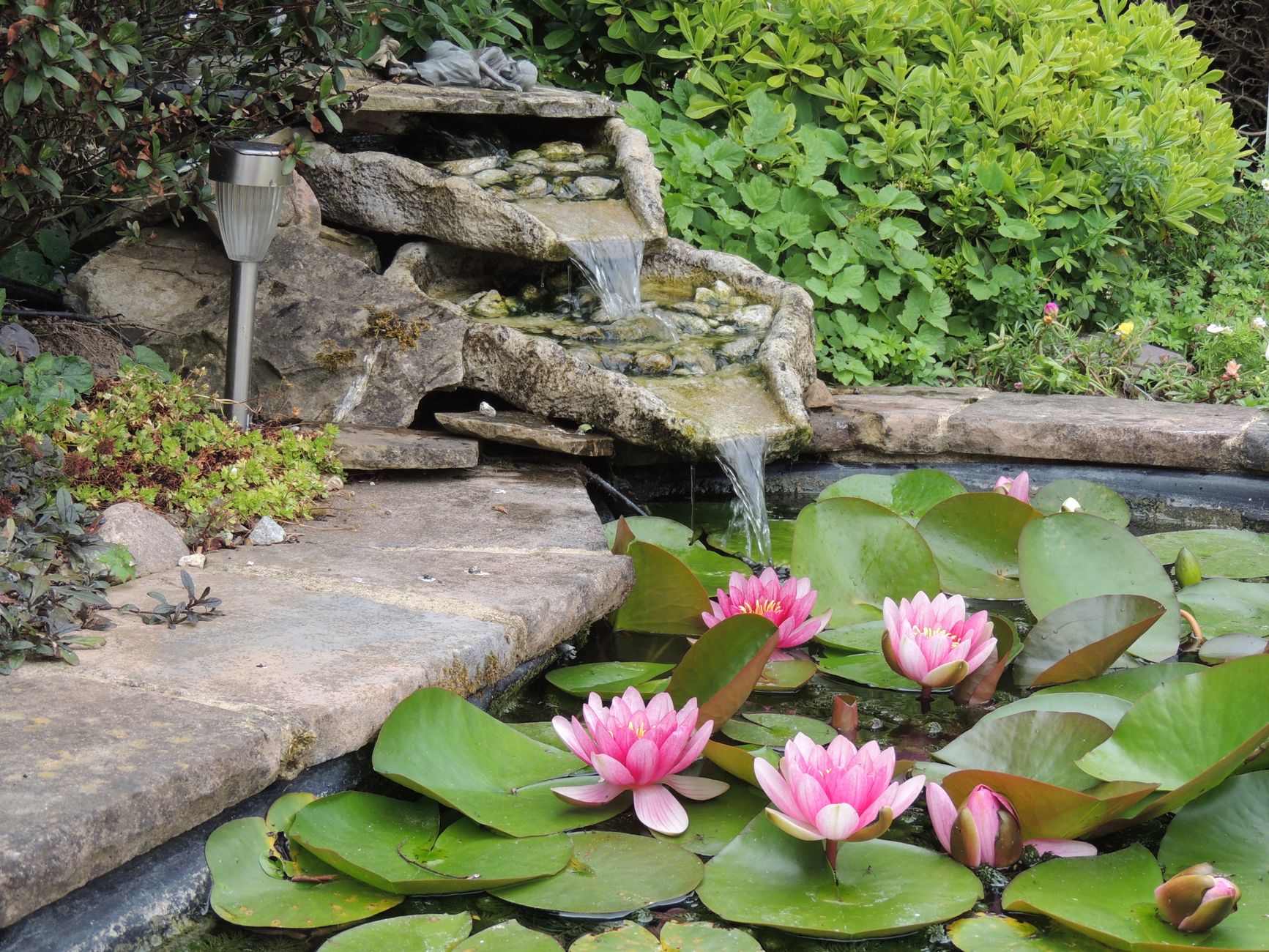 Do-it-yourself Guide: Build a fun Beautiful Pond on a Budget