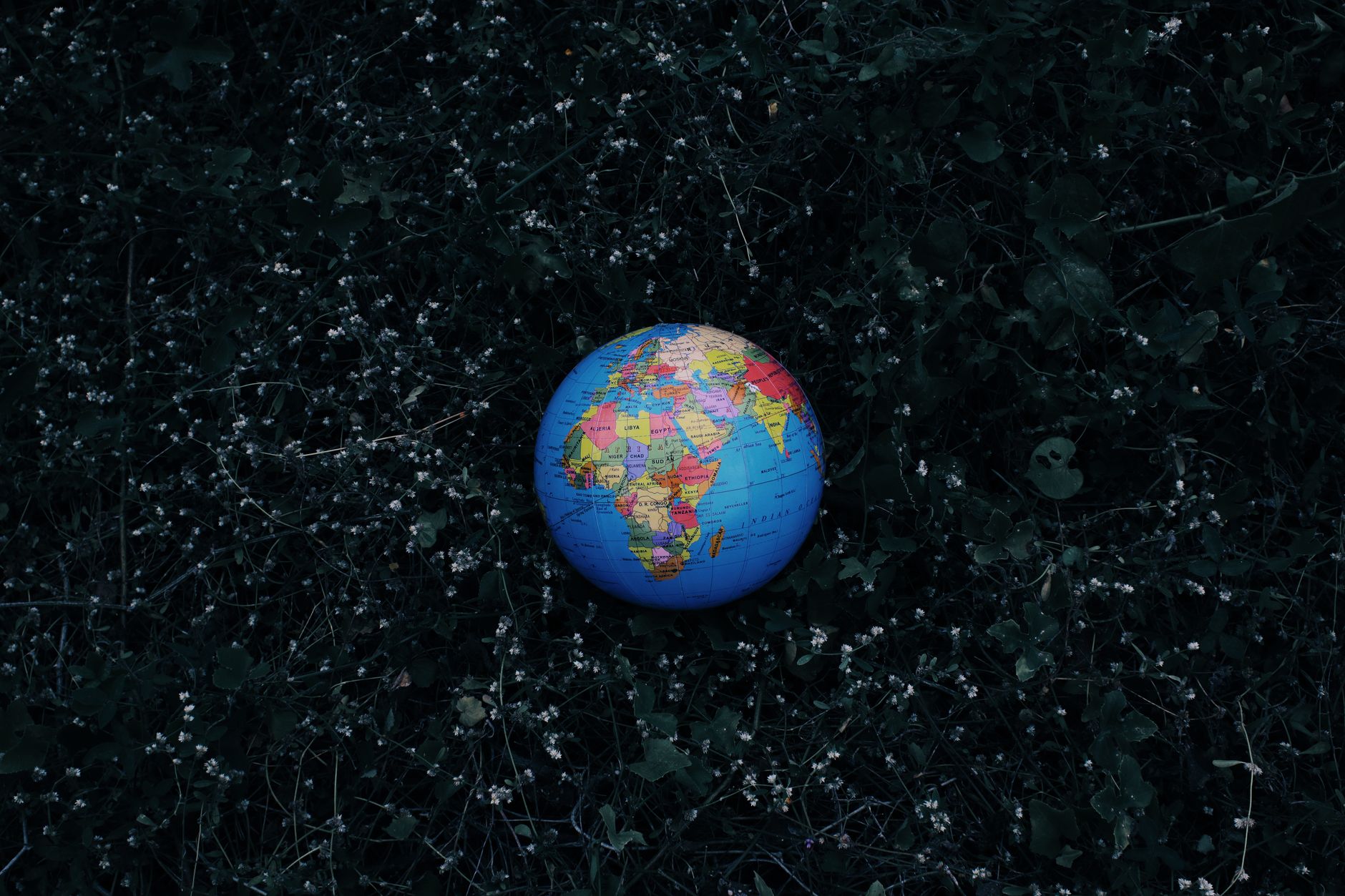 Indian Companies Making Global Impact