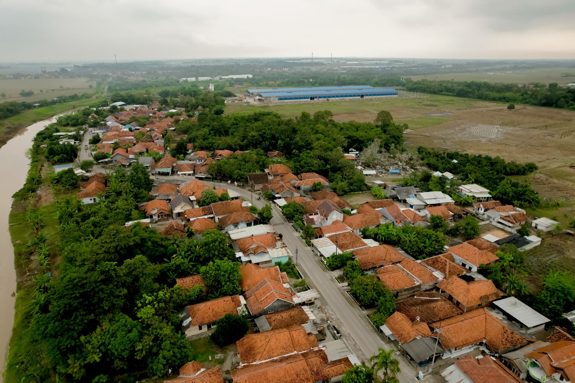 Pharmacy Environment in Indonesia: Navigating Challenges and Seizing Opportunities