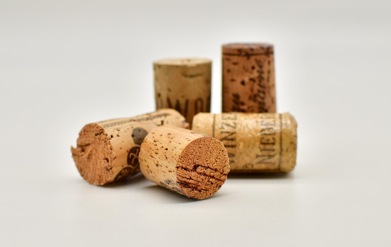 Top 5 Wine Tasting Tips for Beginners