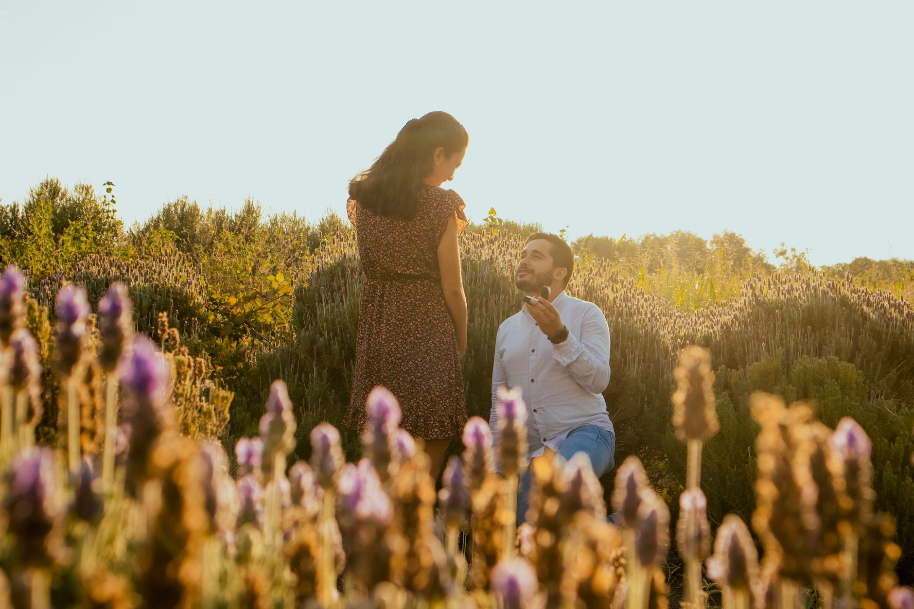 Proposals in the UK or Abroad