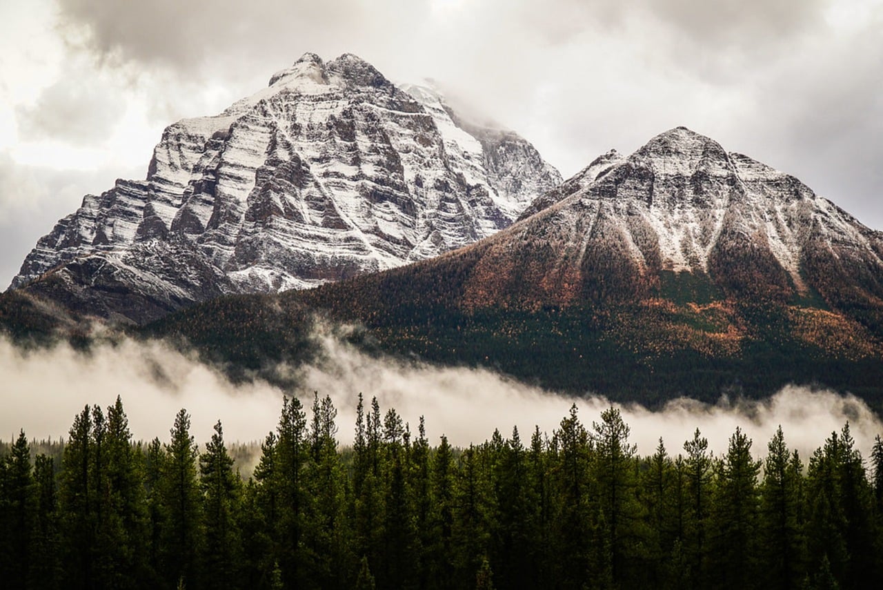 The Definitive Resource for Canadian Immigration and Visa