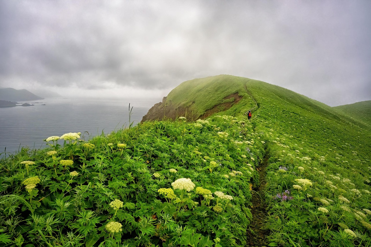 7 Important Reasons Why You Should Visit Hokkaido in Japan for Skiing