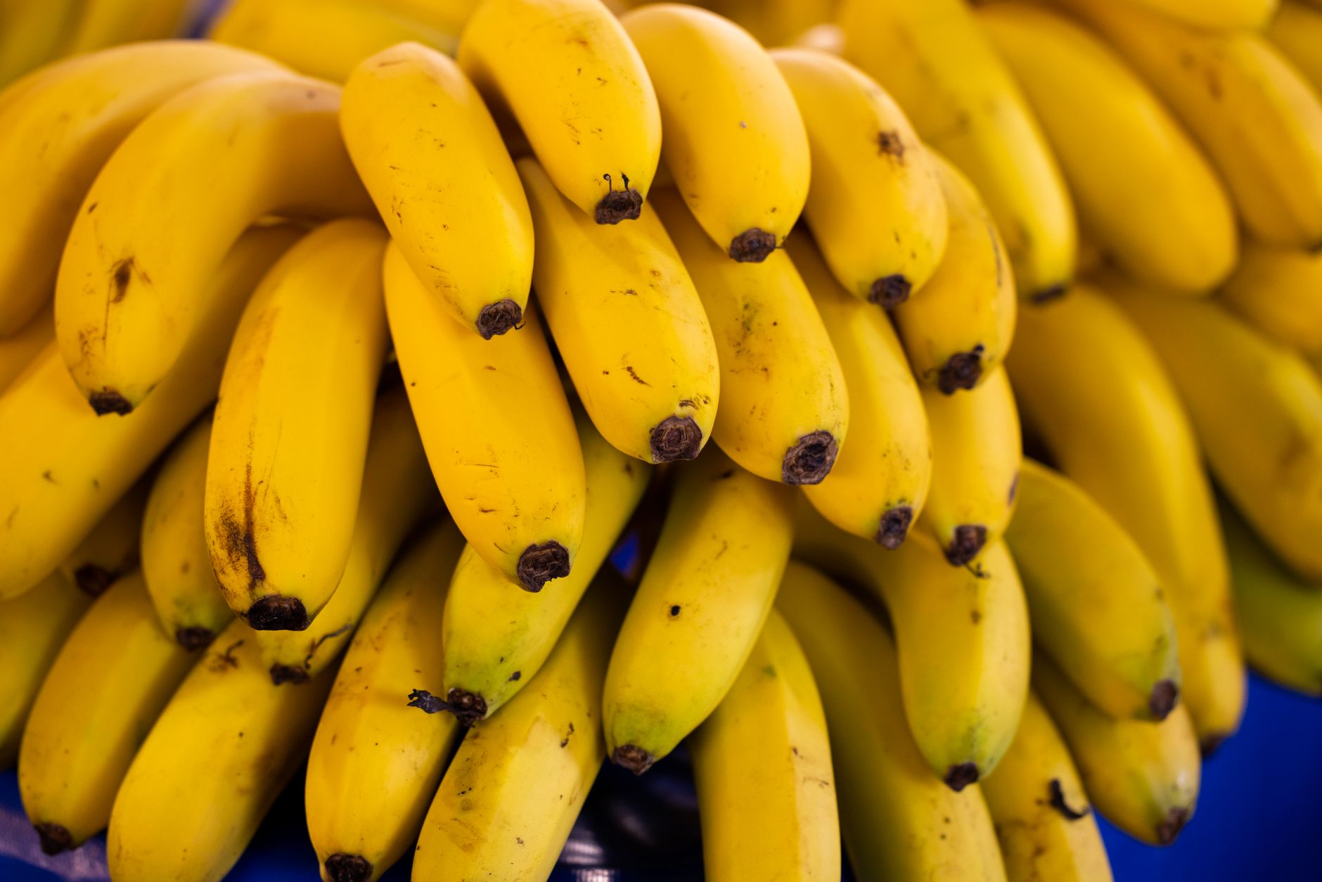 Yellow Banana closes six Chicago stores ends tie