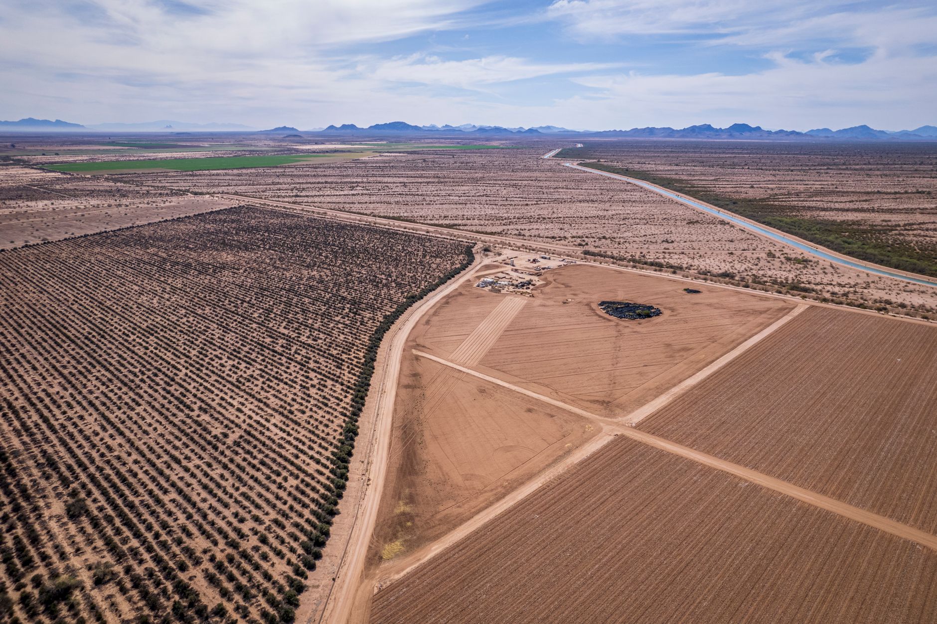 Vallarta plans Arizona growth