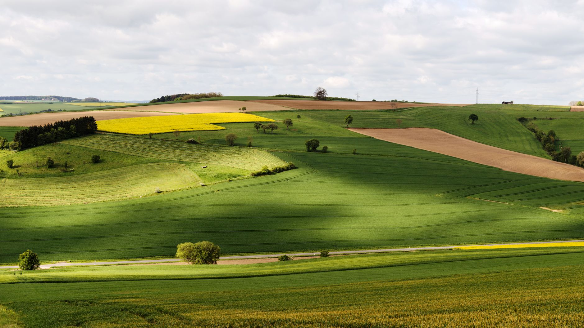 What Is Business Strategy? Definition, Ranges And Nature