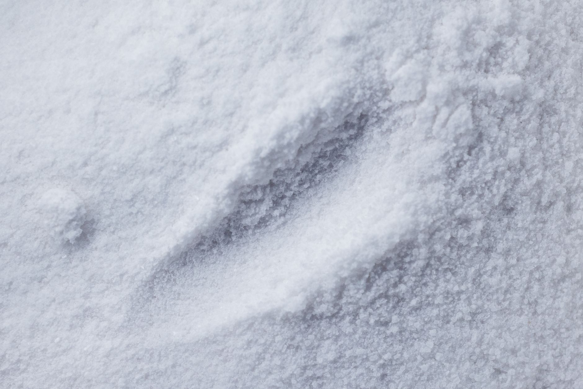 What Is The Use Of The NR Powder?