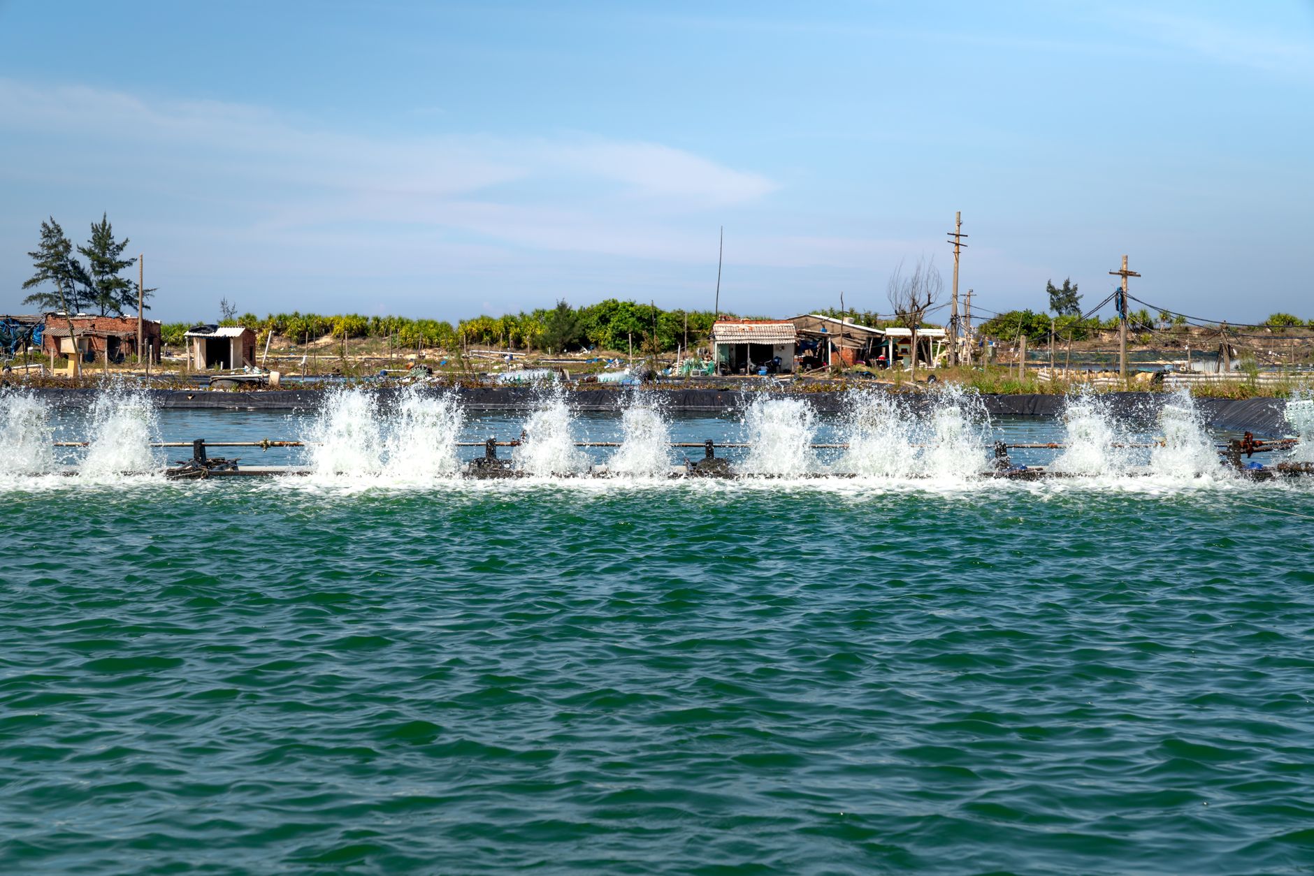 Water Aeration – Everything you Need to Know