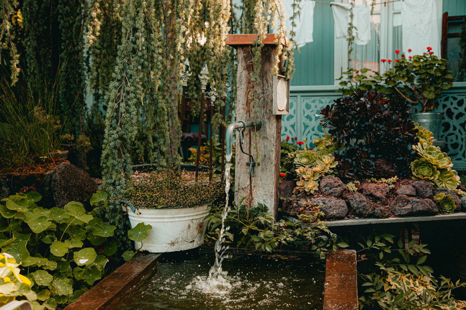 Garden Water Features Designed for Wildlife Safety